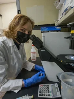 Graduate Trainee in Lab